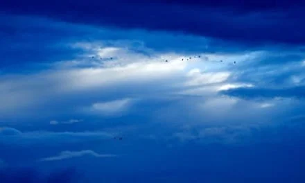 The Bluish Hue by Patricia Rossi