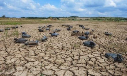 The Drought in Wichita Falls by Samuel Underwood