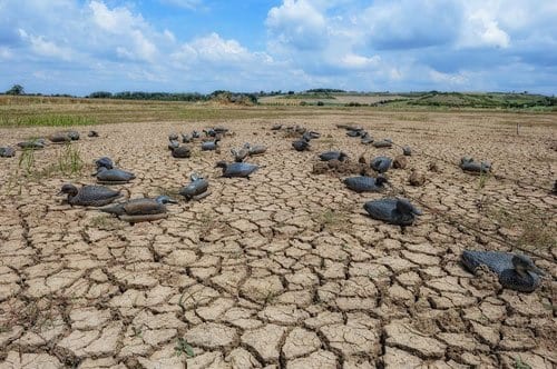 The Drought in Wichita Falls by Samuel Underwood
