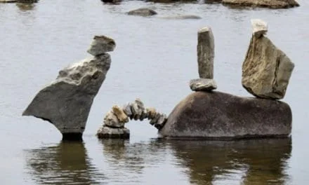 Watching the Lamar River Rapids by Tovah S. Yavin