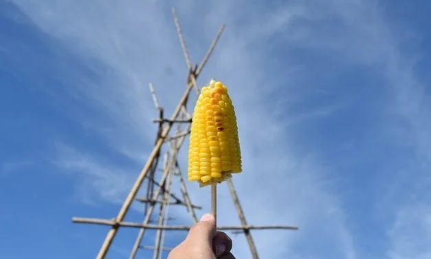 Sweet Corn from a Roadside Stall by Leah Angstman