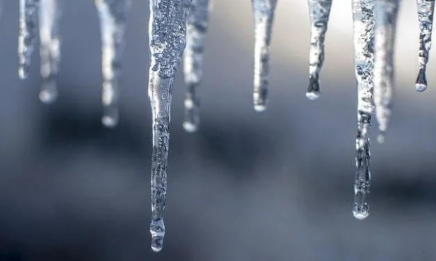 Icicles by Elizabeth Shuler
