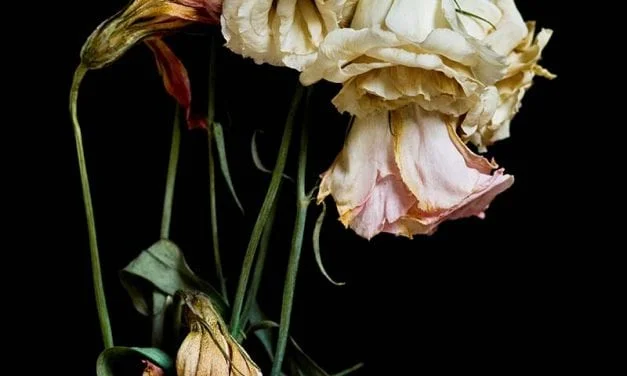 When Flowers Die by Len Carber